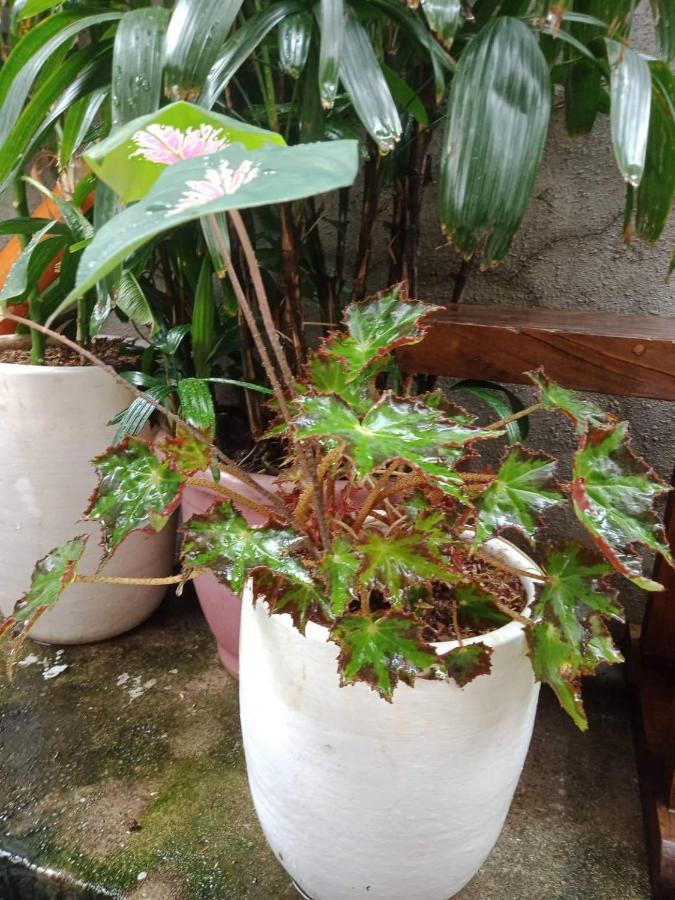 Burgos Hub Hostel Pasay Ngoại thất bức ảnh